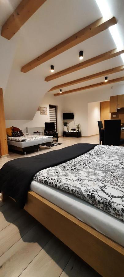 Apartamenty U Piotra Czarny Dunajec Exterior photo